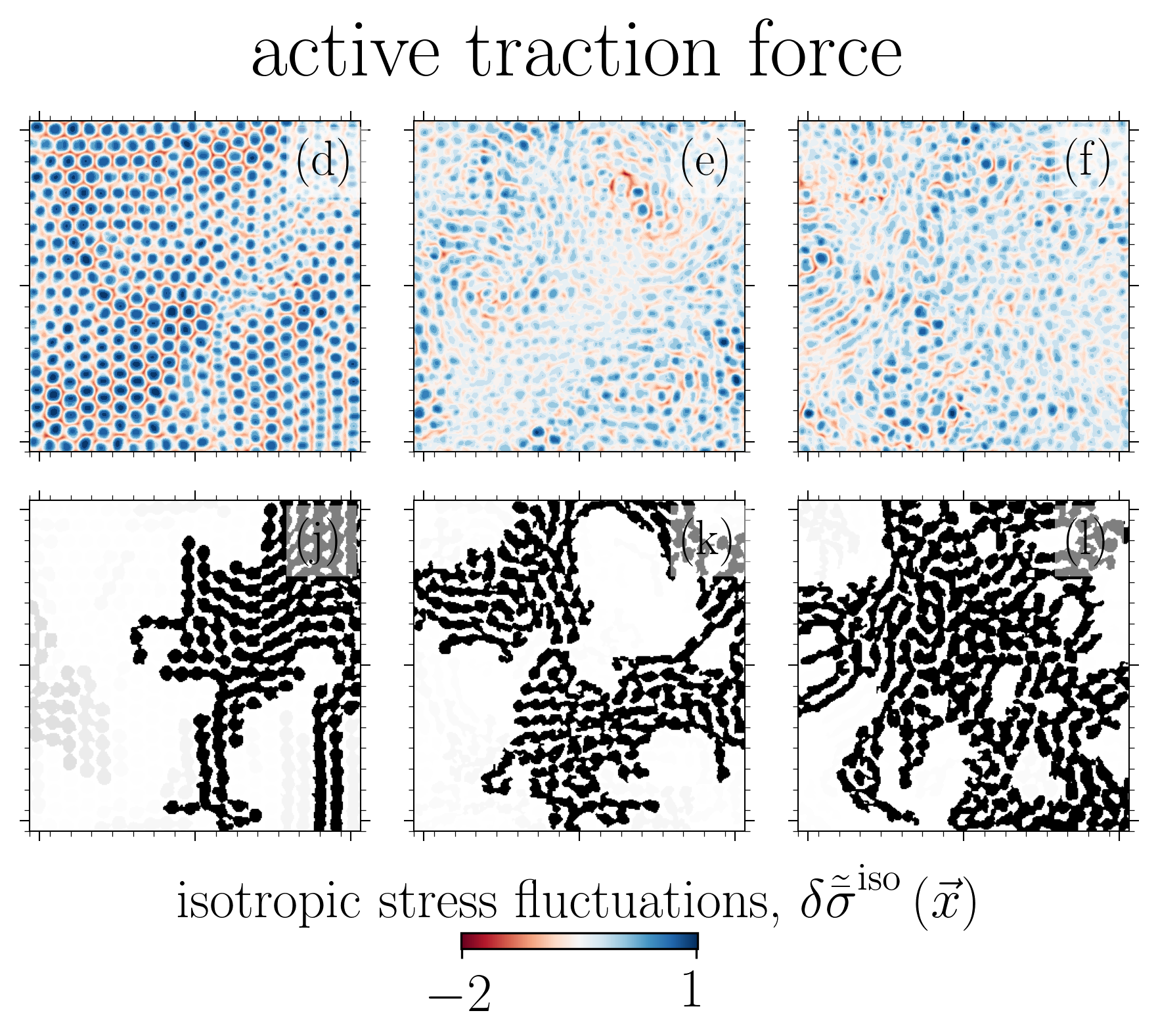 Cell polarity transition
